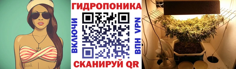 Купить закладки  Еманжелинск  МАРИХУАНА конопля 