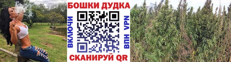 Бошки Шишки Bruce Banner Еманжелинск